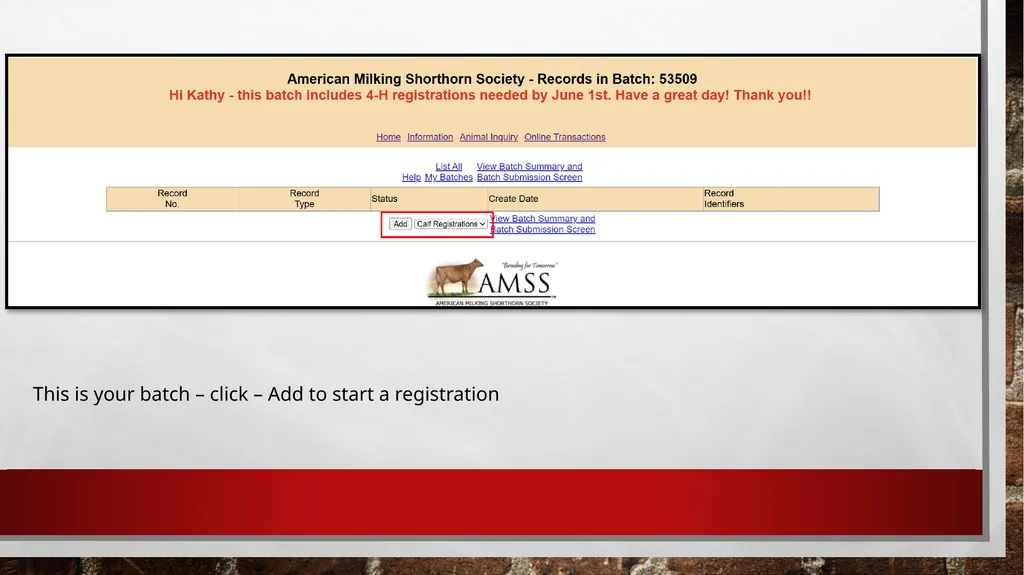 Online Registration Starting Online Registration - slide 8 of 13