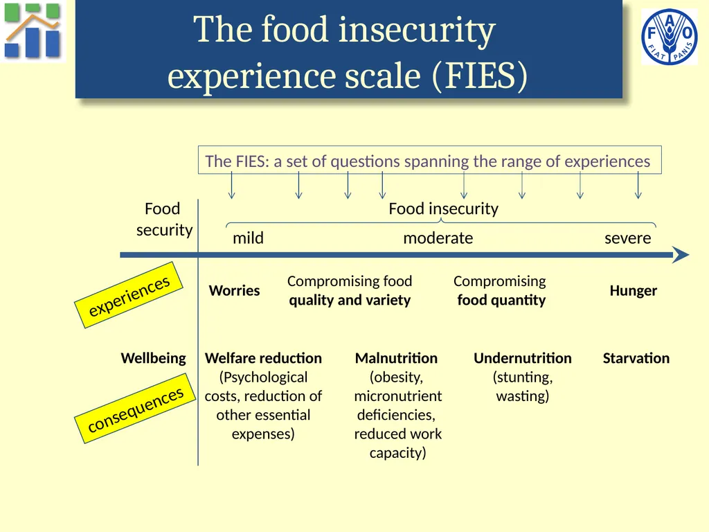 Voices of the Hungry A worldwide survey of - slide 11 of 26