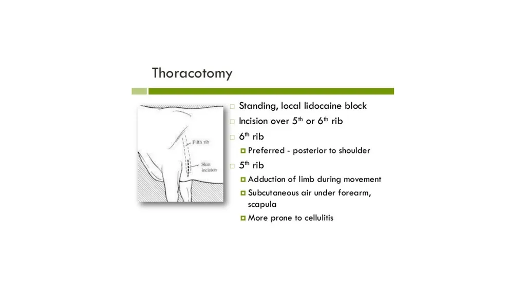 UNIT-5 (REGIONAL SURGERY-II) UG COURSES DR. - slide 4 of 26