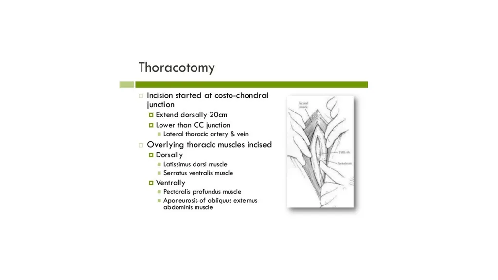 UNIT-5 (REGIONAL SURGERY-II) UG COURSES DR. - slide 9 of 26
