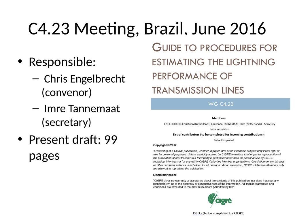 Progress in CIGRE Working Groups on Lightning and - slide 22 of 45