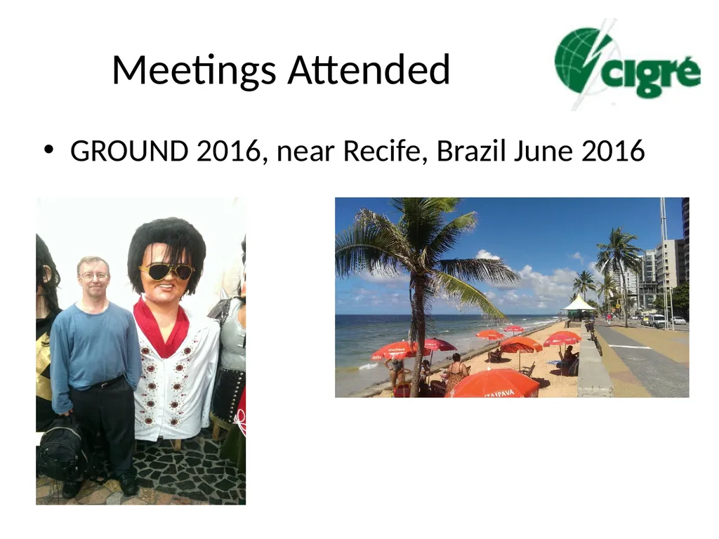 Progress in CIGRE Working Groups on Lightning and - slide 20 of 45