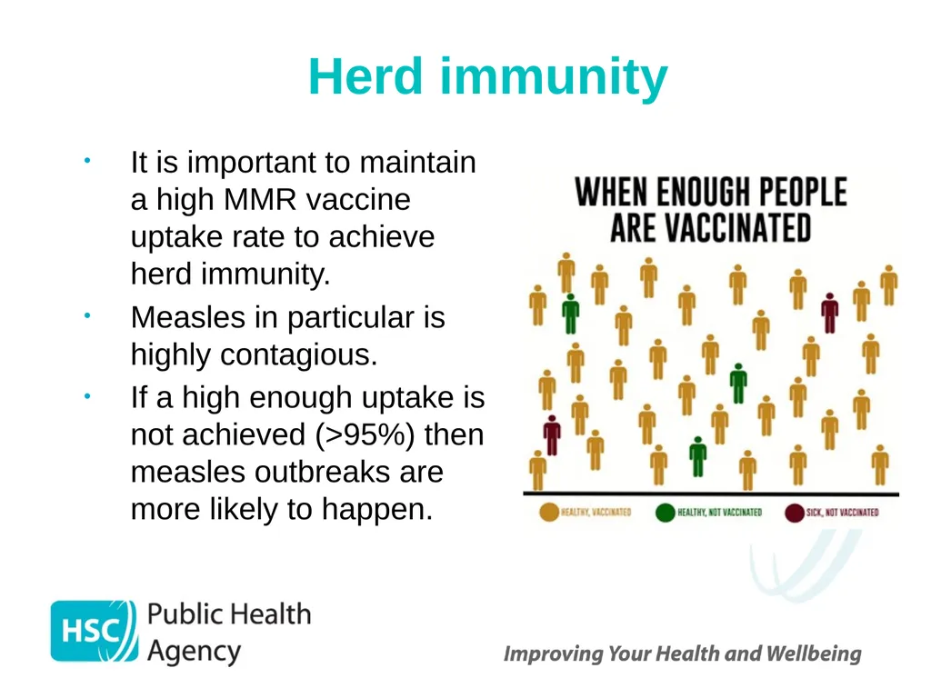 Measles, mumps and rubella Prepared by the PHA - slide 37 of 49