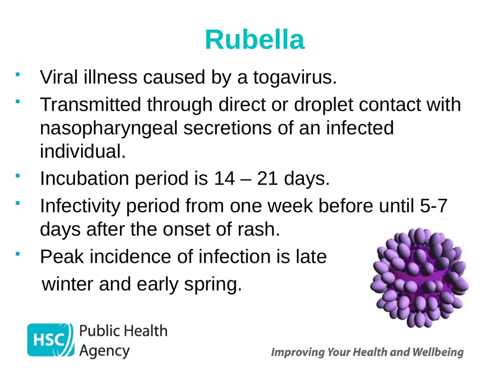 Measles, mumps and rubella Prepared by the PHA - slide 23 of 49
