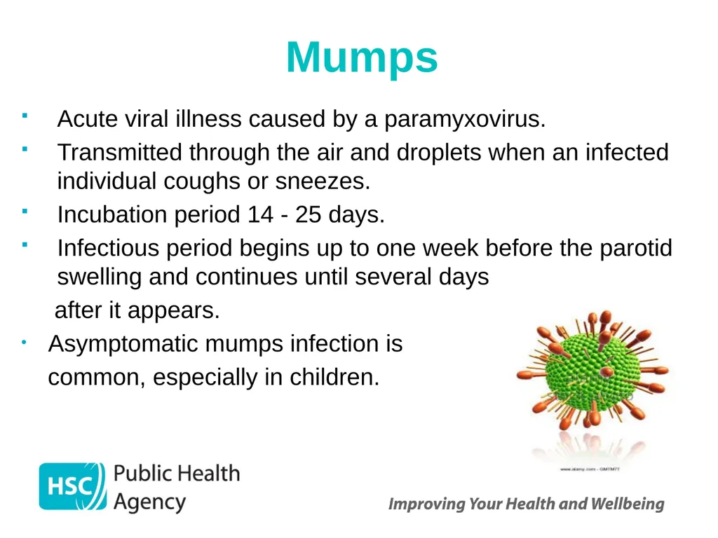 Measles, mumps and rubella Prepared by the PHA - slide 16 of 49