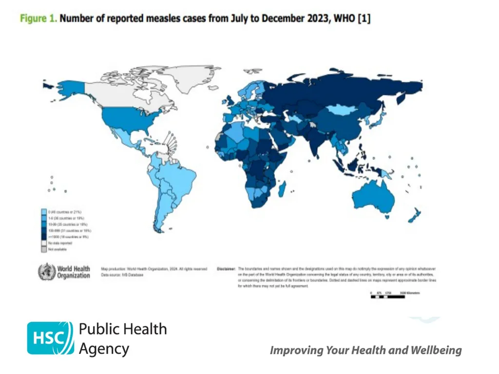 Measles, mumps and rubella Prepared by the PHA - slide 15 of 49