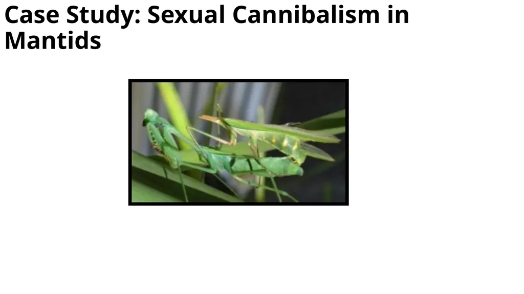Where we’ve come so far… Animal Behavior Core - slide 9 of 16