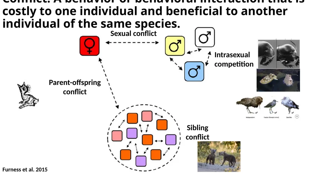 Where we’ve come so far… Animal Behavior Core - slide 8 of 16