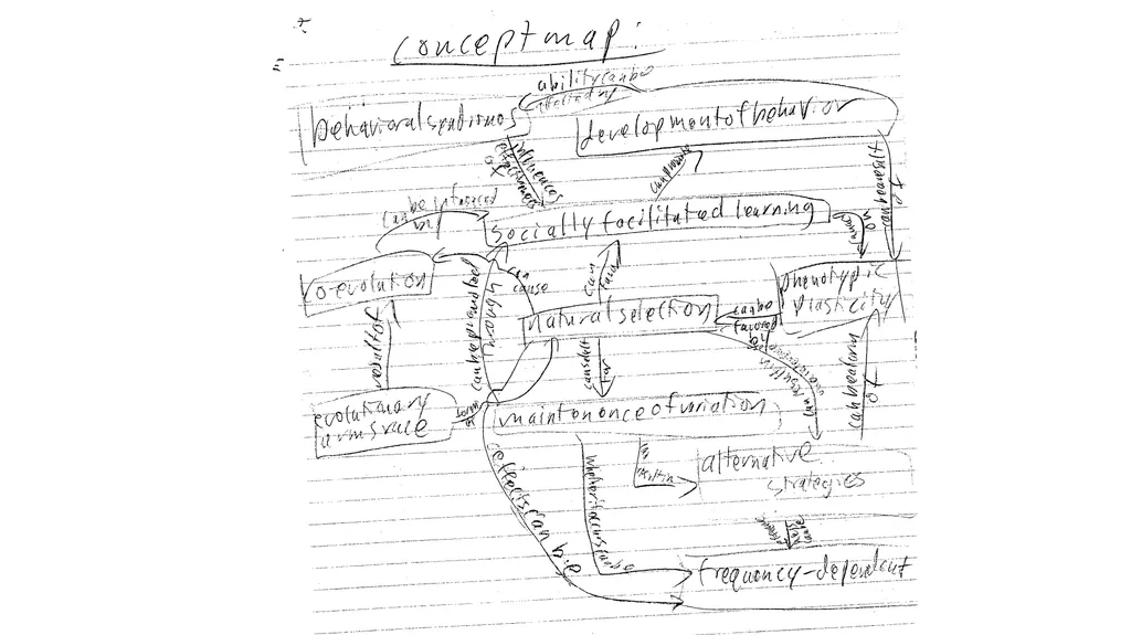 Where we’ve come so far… Animal Behavior Core - slide 12 of 16
