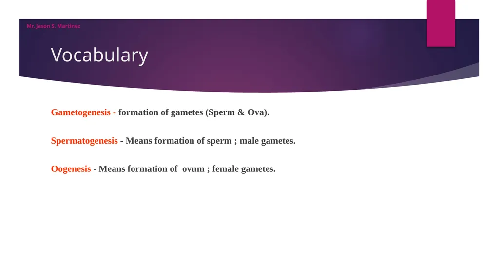 Gamete Formation Jason S. Martinez NIS Almaty - slide 5 of 19