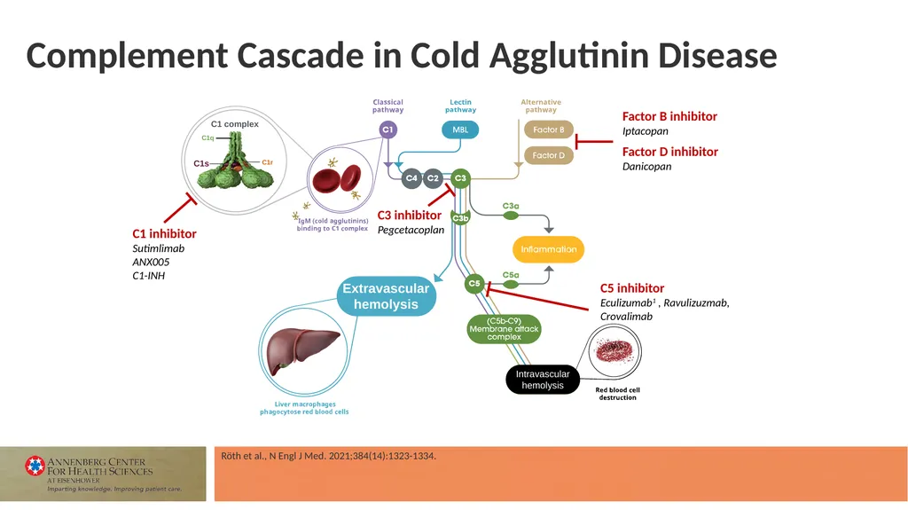 Faculty Associate Professor of Medicine Georgetown - slide 12 of 66