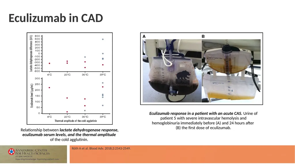 Faculty Associate Professor of Medicine Georgetown - slide 49 of 66
