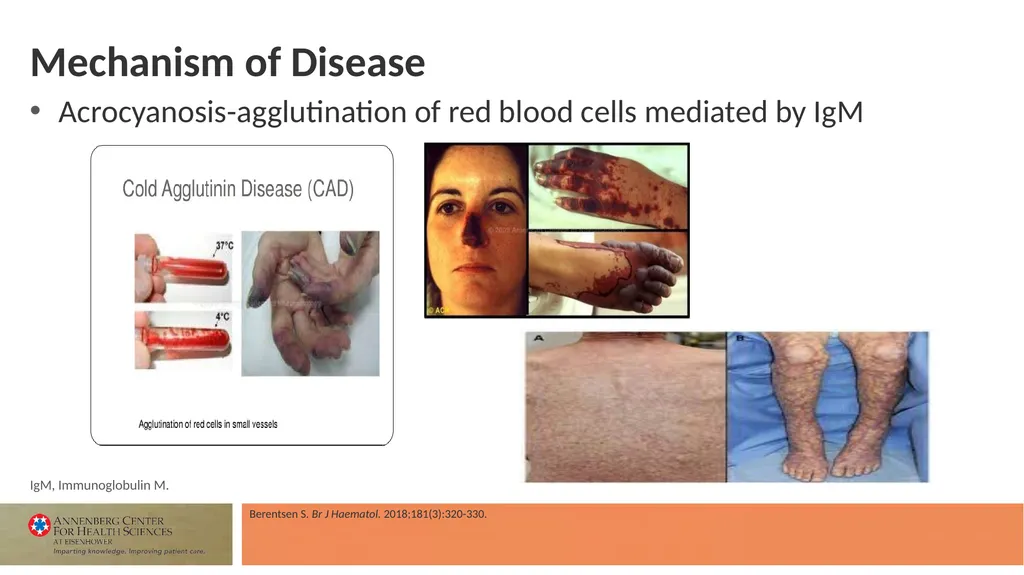 Faculty Associate Professor of Medicine Georgetown - slide 10 of 66