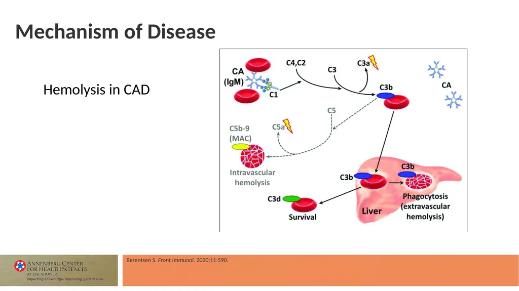 Faculty Associate Professor of Medicine Georgetown - slide 11 of 66