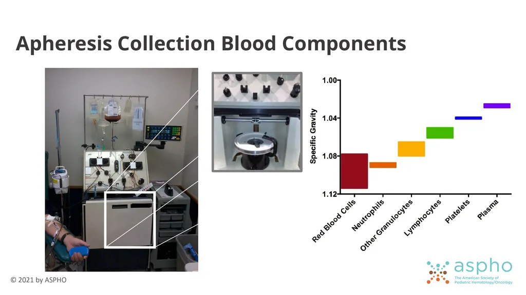Transfusion Medicine Rachel S. Bercovitz, MD MS - slide 8 of 81