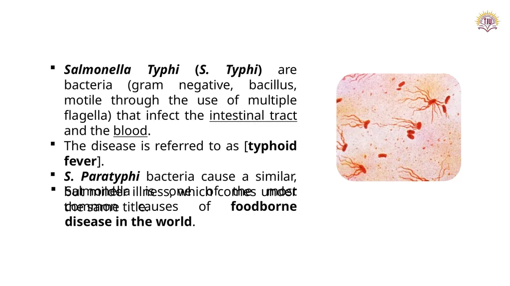 Dr. Tola FARAJ Ms. Chnar Hussam Lecturer and - slide 2 of 13