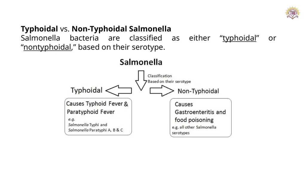 Dr. Tola FARAJ Ms. Chnar Hussam Lecturer and - slide 3 of 13