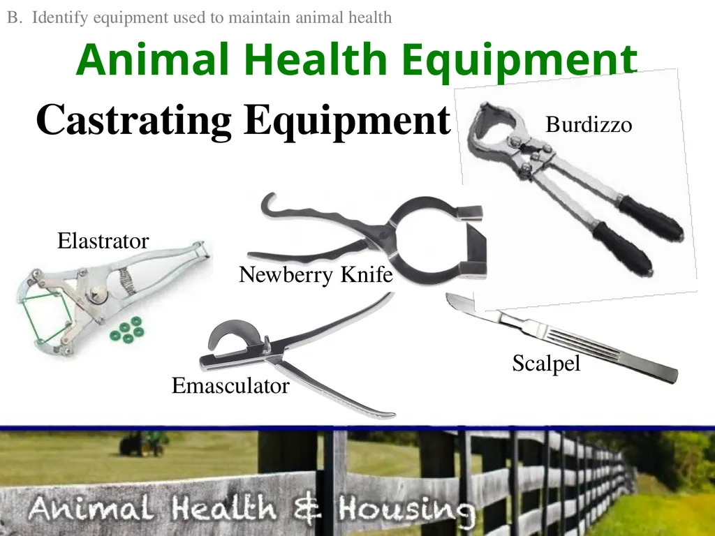 Animal Health & Housing Relate concepts of animal - slide 10 of 17
