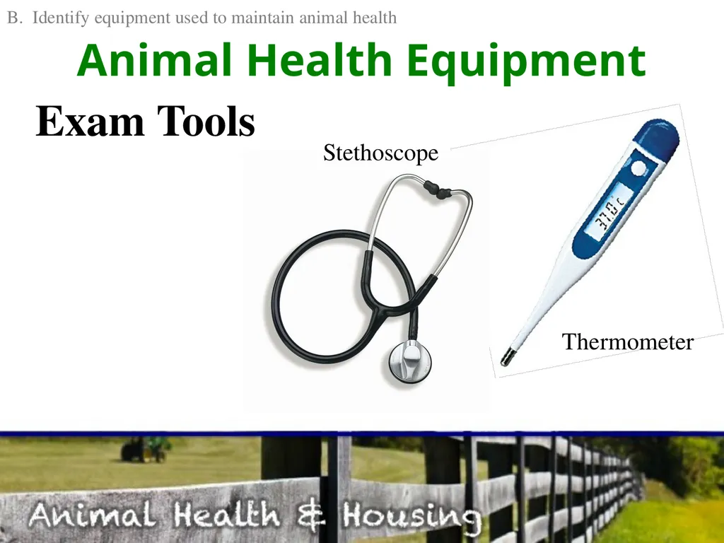 Animal Health & Housing Relate concepts of animal - slide 11 of 17
