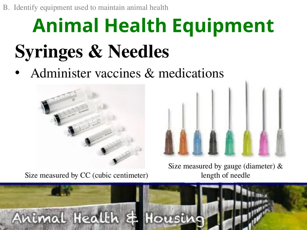 Animal Health & Housing Relate concepts of animal - slide 6 of 17