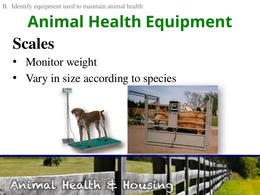 Animal Health & Housing Relate concepts of animal - slide 7 of 17