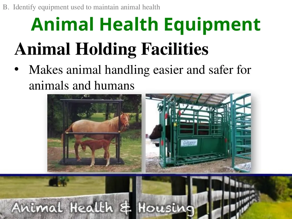 Animal Health & Housing Relate concepts of animal - slide 8 of 17