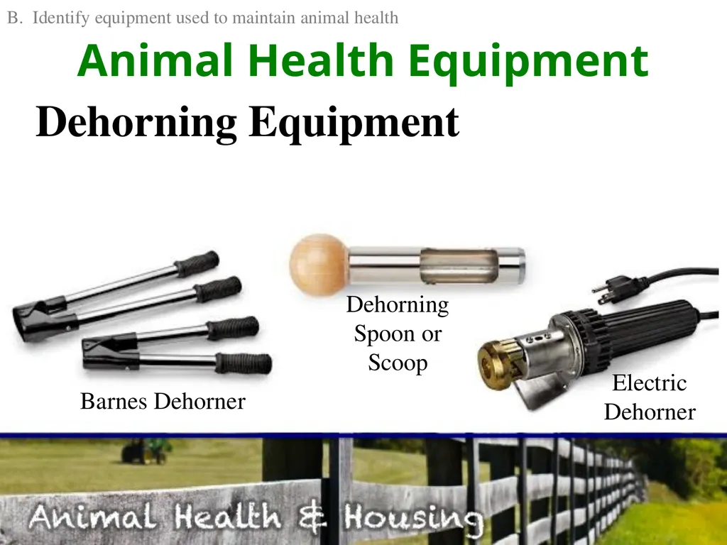 Animal Health & Housing Relate concepts of animal - slide 9 of 17