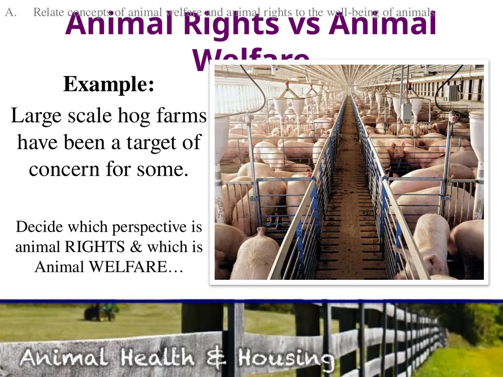 Animal Health & Housing Relate concepts of animal - slide 3 of 17