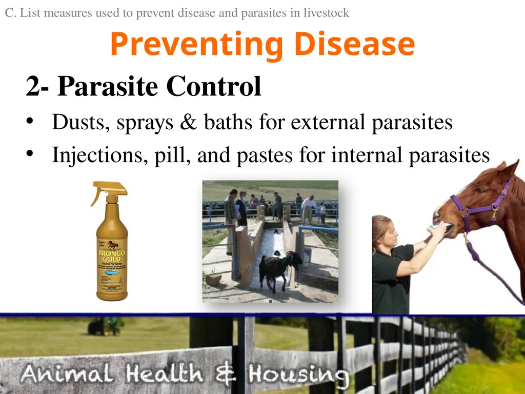 Animal Health & Housing Relate concepts of animal - slide 13 of 17