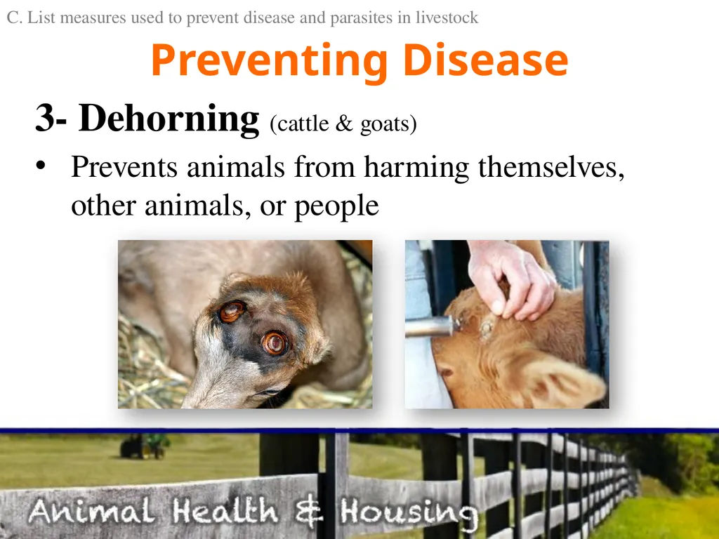 Animal Health & Housing Relate concepts of animal - slide 14 of 17