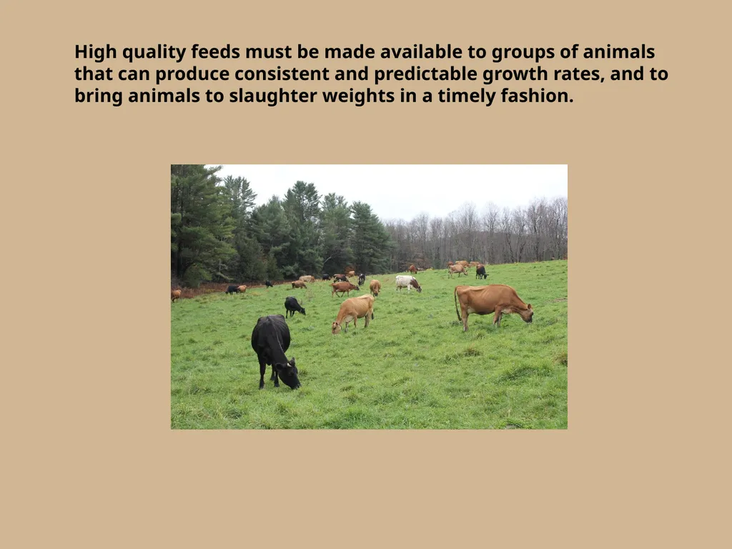 Which herd do you think will yield more consistent - slide 7 of 10