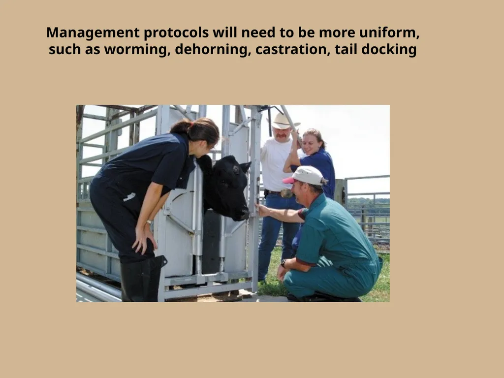 Which herd do you think will yield more consistent - slide 8 of 10