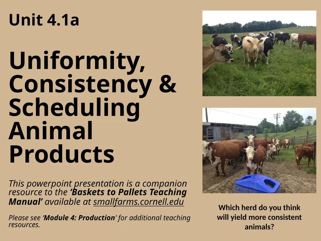 Which herd do you think will yield more consistent - slide 2 of 10