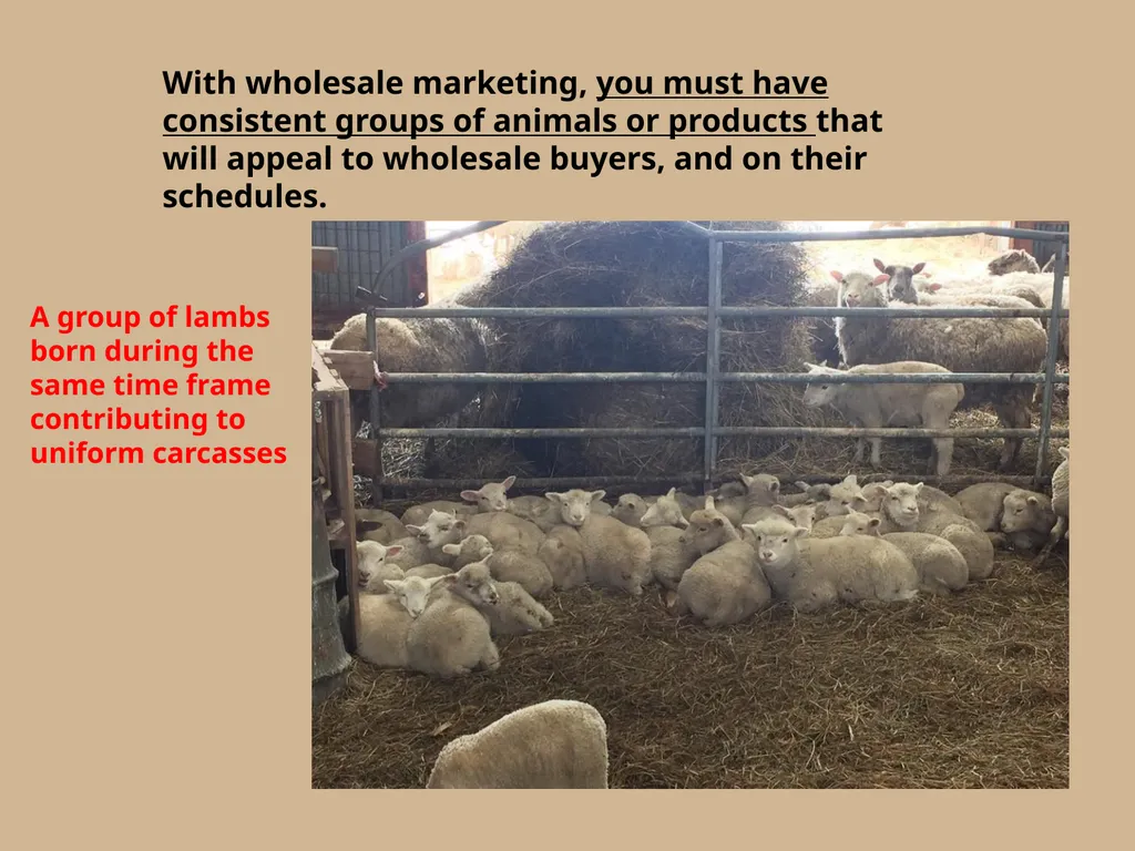 Which herd do you think will yield more consistent - slide 4 of 10