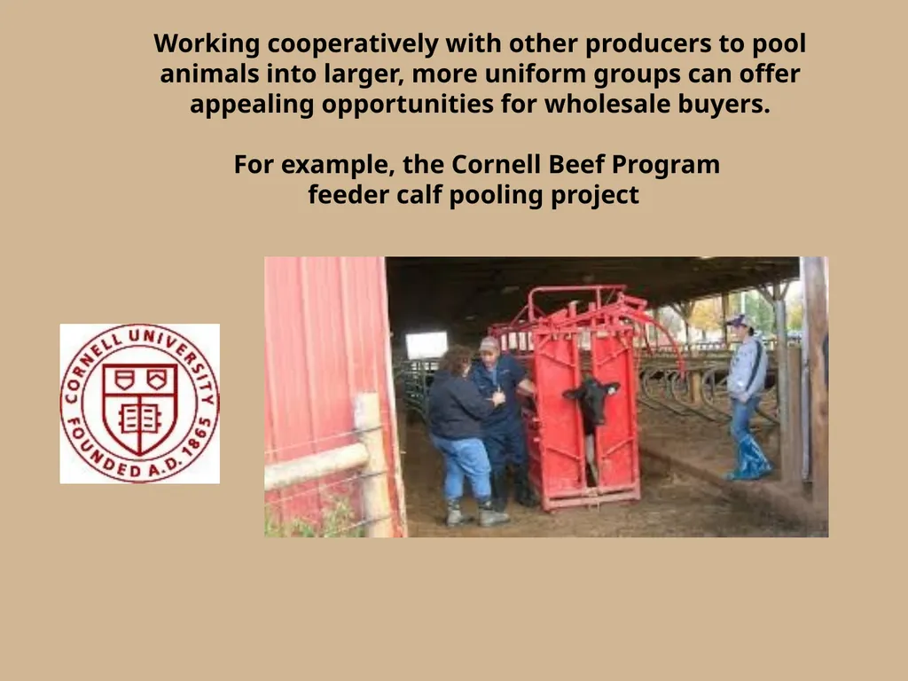 Which herd do you think will yield more consistent - slide 10 of 10