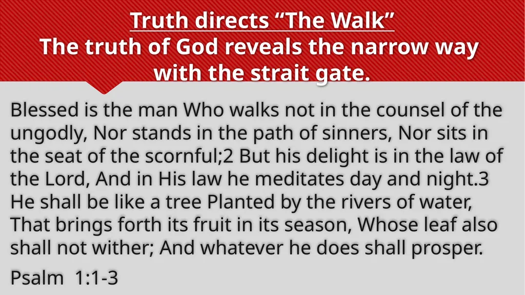 Truth directs “The Walk” John rejoiced when he - slide 7 of 24