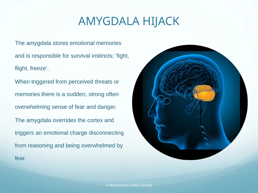 Mindfulness provides a tool for profound life - slide 44 of 103