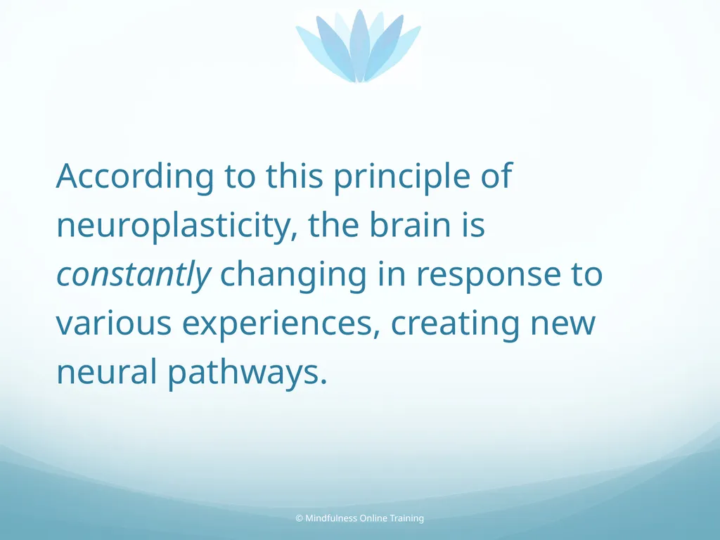 Mindfulness provides a tool for profound life - slide 36 of 103