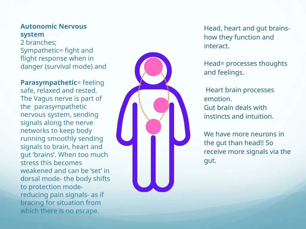 Mindfulness provides a tool for profound life - slide 42 of 103