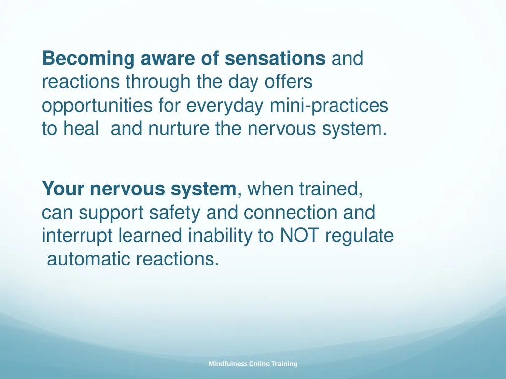 Mindfulness provides a tool for profound life - slide 43 of 103