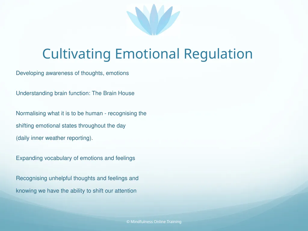 Mindfulness provides a tool for profound life - slide 18 of 103