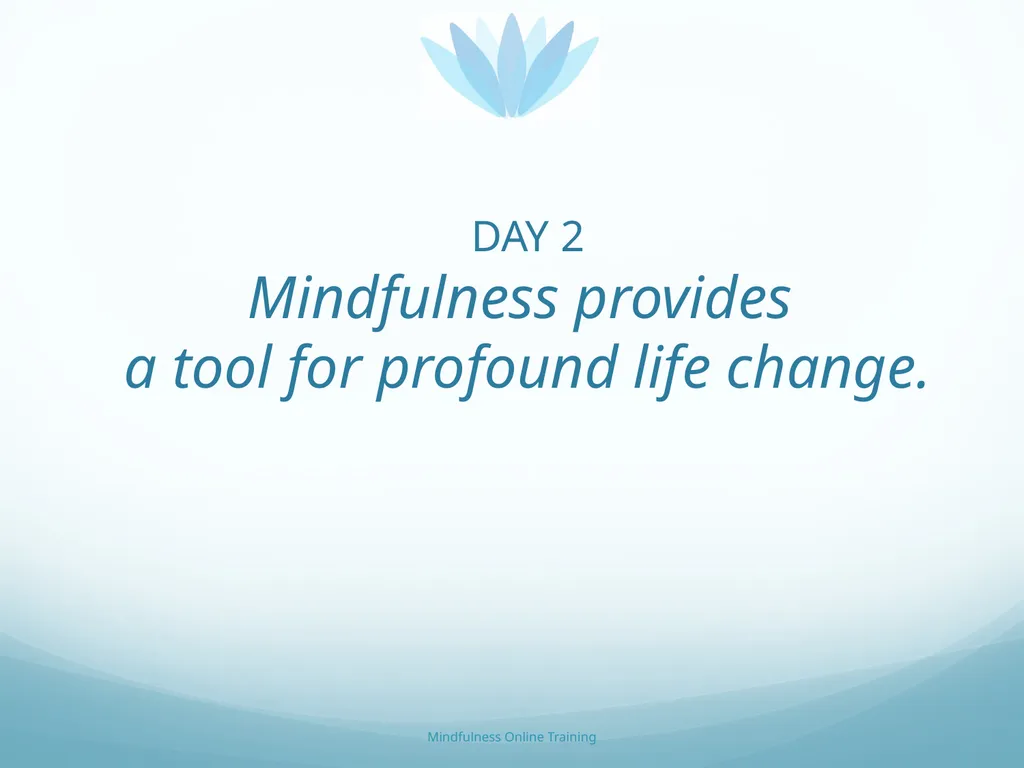 Mindfulness provides a tool for profound life - slide 67 of 103
