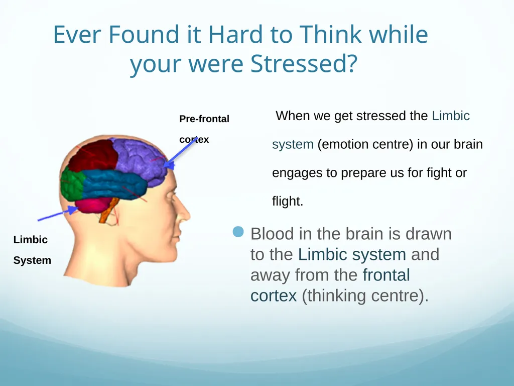 Mindfulness provides a tool for profound life - slide 41 of 103