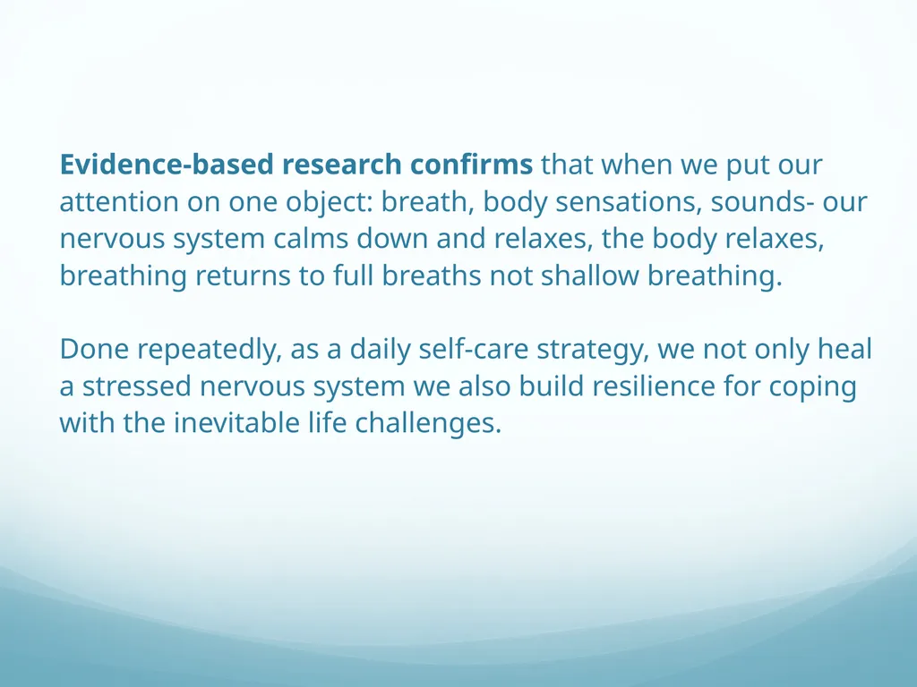 Mindfulness provides a tool for profound life - slide 8 of 103