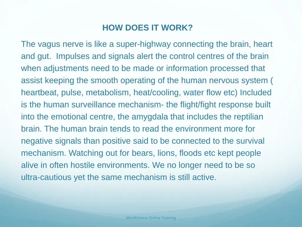 Mindfulness provides a tool for profound life - slide 52 of 103