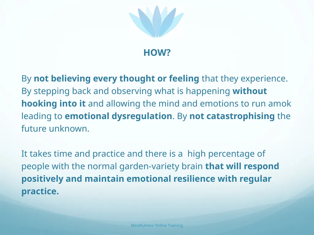 Mindfulness provides a tool for profound life - slide 61 of 103