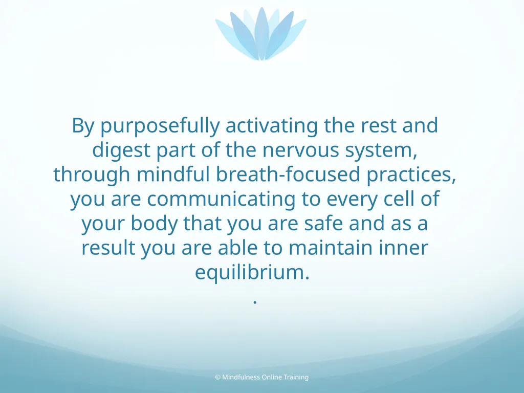 Mindfulness provides a tool for profound life - slide 50 of 103