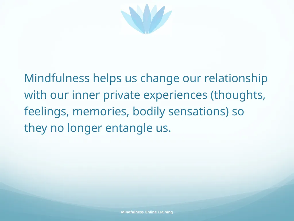 Mindfulness provides a tool for profound life - slide 81 of 103