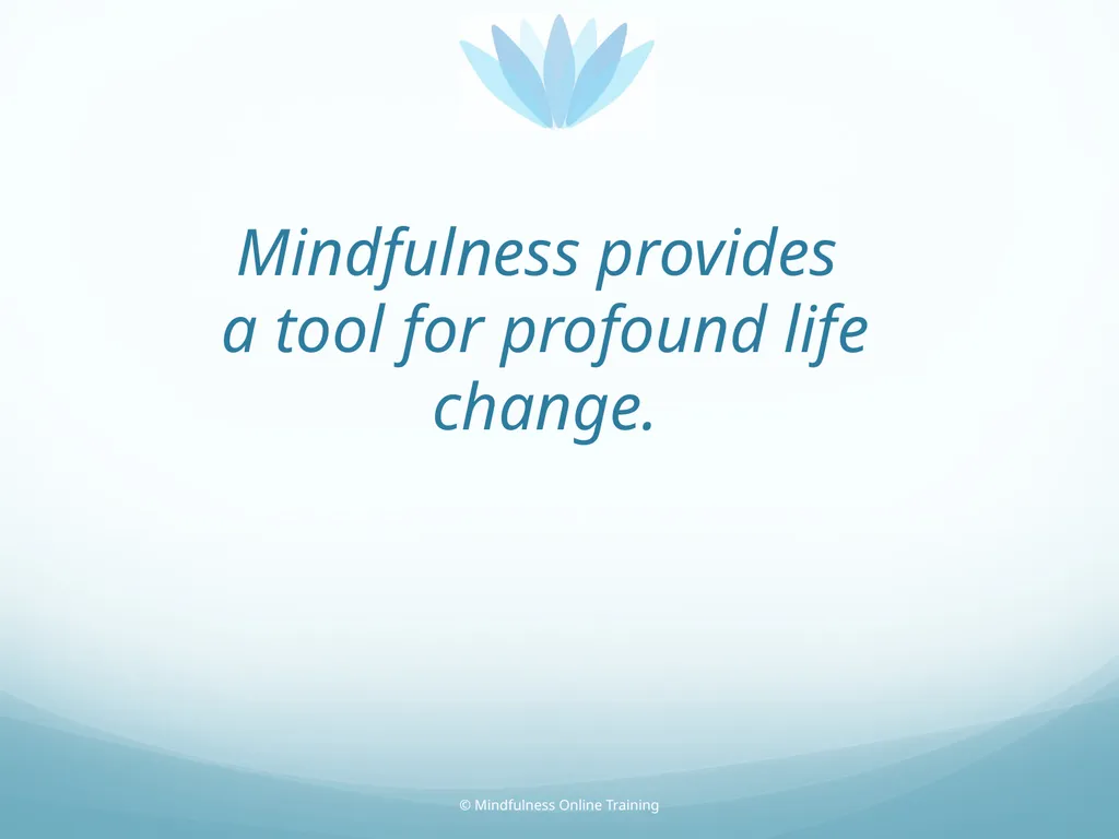 Mindfulness provides a tool for profound life - slide 2 of 103