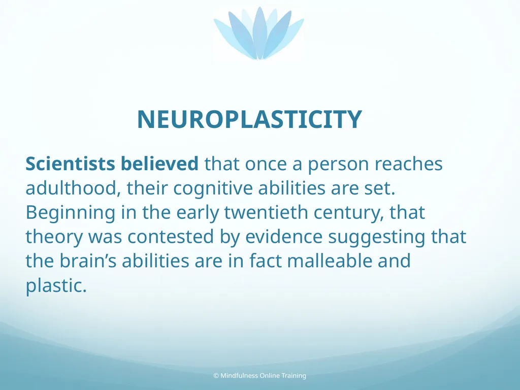 Mindfulness provides a tool for profound life - slide 35 of 103